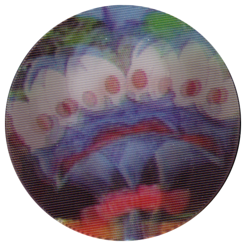 ◇Space Jam TAZOS コレクターズアルバム　マイケルジョーダン◆ ◇Space Jam TAZOS コレクターズアルバム マイケルジョーダン◇